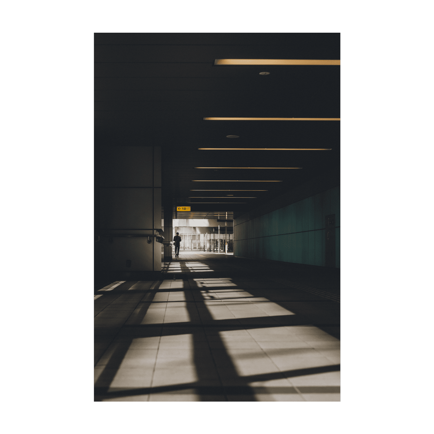 Takumi Matsuo | Light & Shadow | Open Edition NFT #27