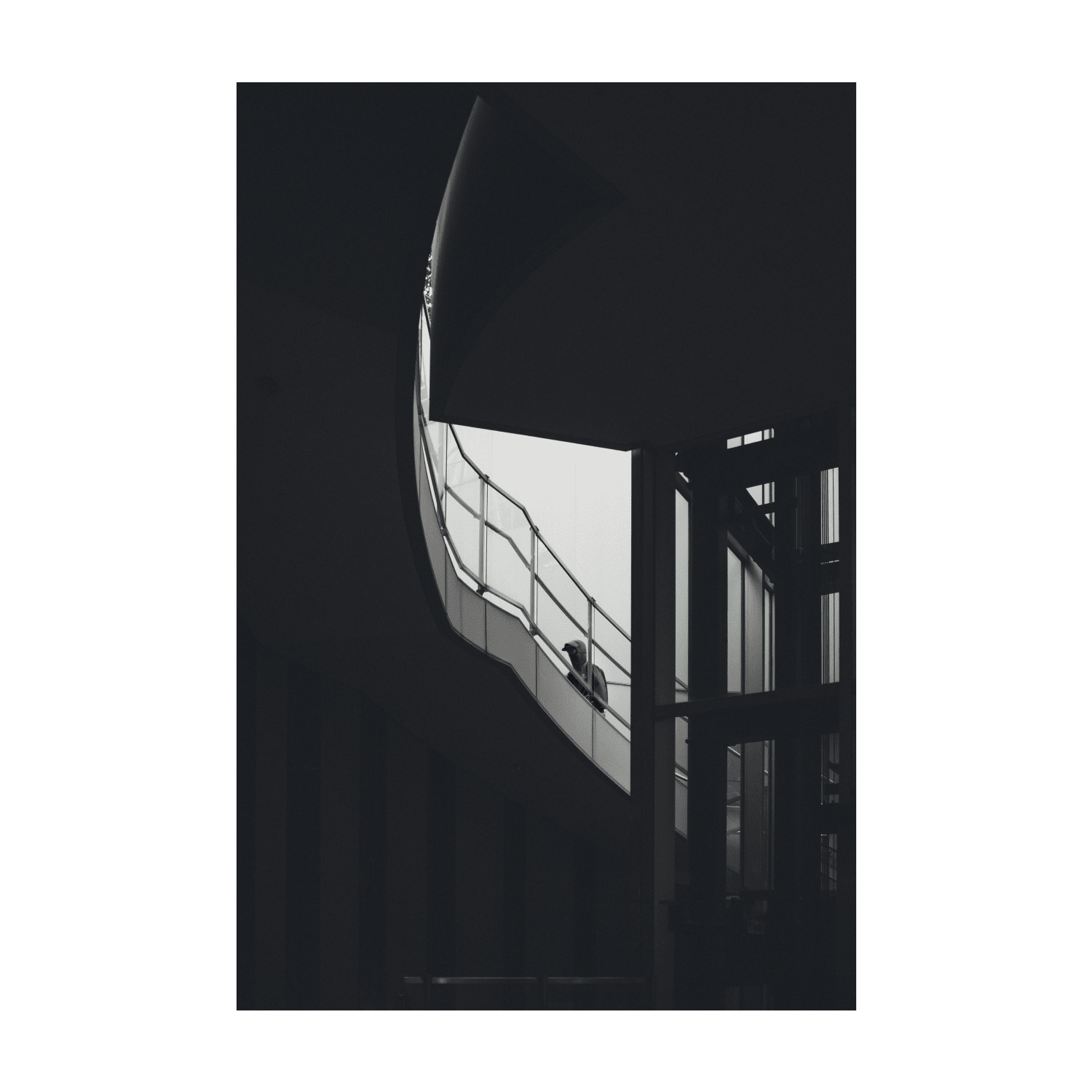 Takumi Matsuo | Light & Shadow | Open Edition NFT #40